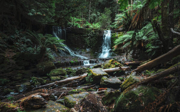 Photograph Ryuhei Suguri Into The Deep Forest on One Eyeland
