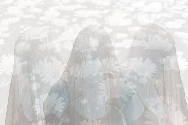Photograph Ekaterina Gaiduk Daisies on One Eyeland