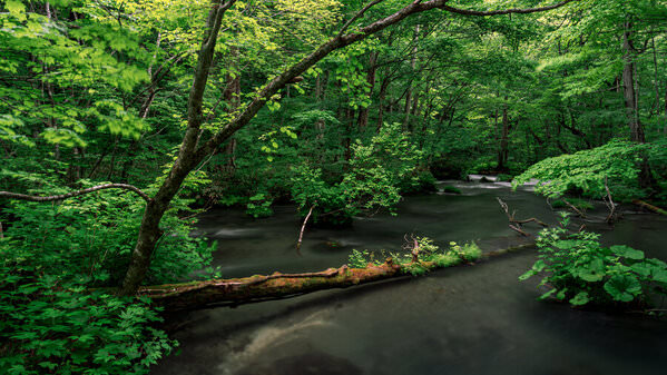 Photograph Eku Nii Quietness And The Rustle on One Eyeland