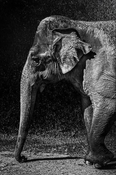 Photograph Edison Lucas Seul on One Eyeland