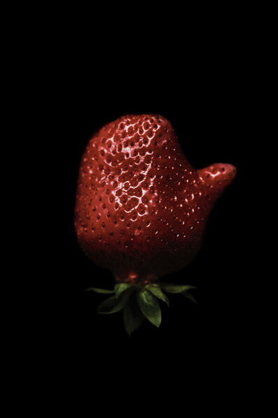Photograph Svetlana Semeonova Taste Of Life on One Eyeland
