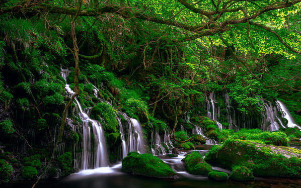 Photograph Eku Nii The Waters Of Akita Bring Spring To Life on One Eyeland