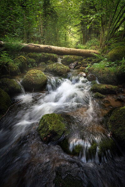 Photograph Benjamin Hoeger Along The Stream on One Eyeland