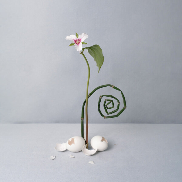 Photograph Maria Volnova Life Energy on One Eyeland