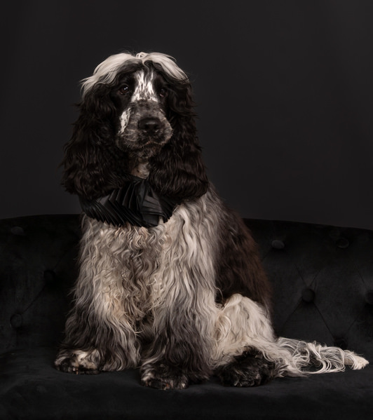 Photograph Isabella Robbeson Portrait Of Harvey on One Eyeland