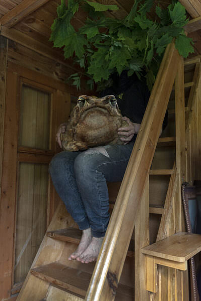 Photograph Aleksandra Sokolinskaya Symbiosis on One Eyeland