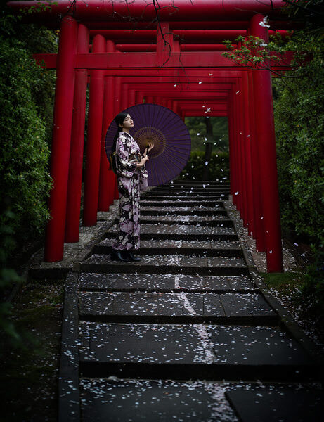 Photograph Haseo Hasegawa Wet Petals on One Eyeland