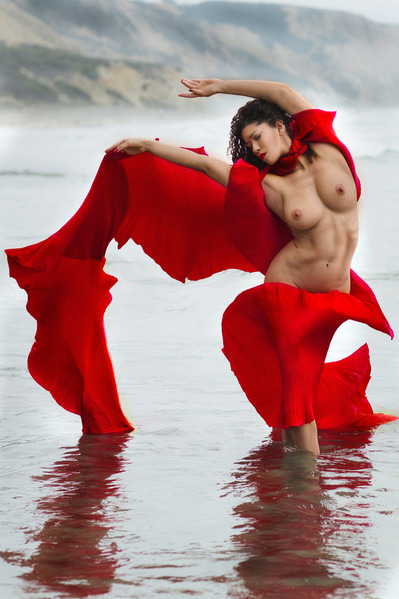 Photograph Roberto Manetta Red Butterfly on One Eyeland