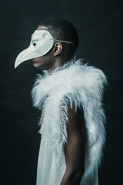 Photograph Jonathan Oakes Bird on One Eyeland