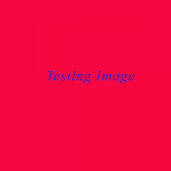 Photograph K Sharad Haksar Veera Test1 on One Eyeland