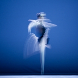 InMotion-Andrea Paolini Merlo-silver-FINE ART-Abstract -178