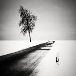 Winter Road-Uwe Langmann-Bronze-FINE ART-Landscape -269