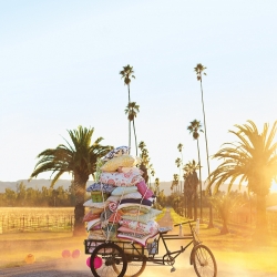Rickshaw-Laurie Frankel-Finalist-ADVERTISING-Catalogues -275