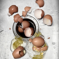Egg Shells-Mark Wiens-Finalist-ADVERTISING-Product / Still Life-313