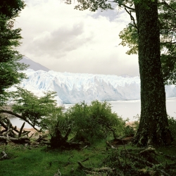 Perito Moreno Glacier, Patagonia-Michael Blann-Finalist-FINE ART-Landscape -368