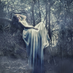 Lost Forest-Raymond Kam-finalist-PEOPLE-Portrait -842