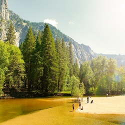 Summer in Yosemite National Park-Simon Stock-bronze-EDITORIAL-Travel-518