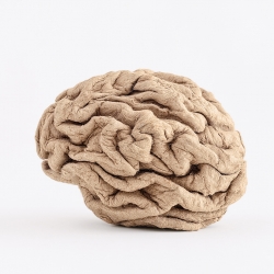 Cardboard brain-Jose Laino-silver-ADVERTISING-Conceptual -1087