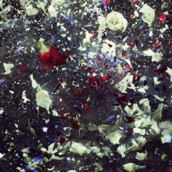 Explosión de flores-Jonathan Knowles-bronce-SPECIAL-Special Effects -1106