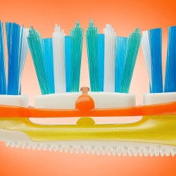 Toothbrush-Marc Tule-finalist-SPECIAL-Macro-1145