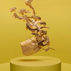 Castor - Polux 2013-Roberto Trevino Amoedo-gold-ADVERTISING-Product / Still Life-1203