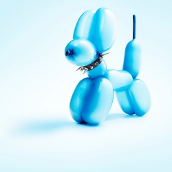 Balloon Animals-Trevor Pearson-gold-ADVERTISING-Self-Promotion -1307