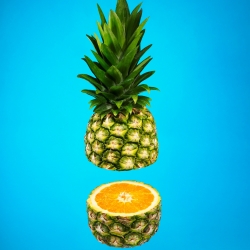 pineapple orange-Lucas Zarebinski-finalist-ADVERTISING-Product / Still Life-1455