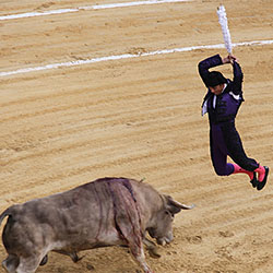 The Last Bullfight-Fernando Cano Busquets-finalist-EDITORIAL-Sports -2309