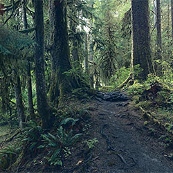 Pacific Northwest-David Westphal-finalist-NATURE-Landscapes -2061