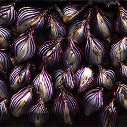 Roasted red onions-Sue Atkinson-finalist-ADVERTISING-Self-Promotion -2100