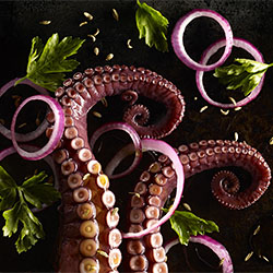 Octopus salad-Sue Atkinson-finalist-ADVERTISING-Self-Promotion -2101