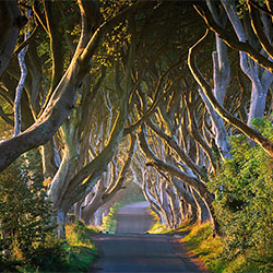Kings Road-Ed Cooley-finalist-FINE ART-Landscape -2285