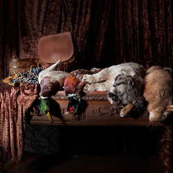 portrets-Jan Gerber-silver-SPECIAL-Pets -2383