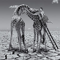 How to kiss a giraffe-Arun Mohanraj-finalist-ADVERTISING-Other -2157