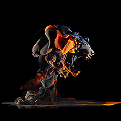 Roar-Charlie Surbey-finalist-FINE ART-Abstract -2646