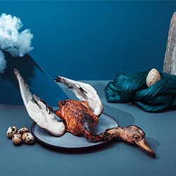 Noma Food art-Kristian Aorta Marco Aorta-bronze-ADVERTISING-Food -2446