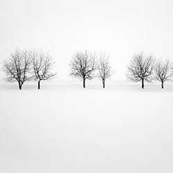 Winter in Hokkaido-Giulio Zanni-bronze-FINE ART-Landscape -2449