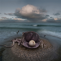 La perle des mers-Mikhail Batrak-finaliste-FINE ART-Collage-2670