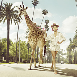Beverly Hills Morning Walk-Ryan Forbes-finalist-ADVERTISING-Self-Promotion -2684