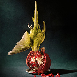 Budgie and pomegranate-Roberto Greco-bronze-FINE ART-Still Life -2462