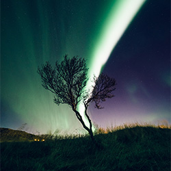 Splitting Tree-Oscar Bjarnason-Finalist-SPECIAL-Nachtfotografie -2714