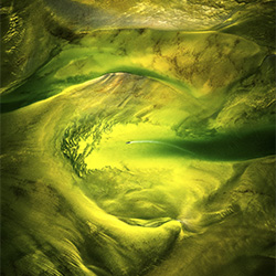 Kati Thanda-Lake Eyre-Paul Hoelen-silver-NATURE-Aerial -3098