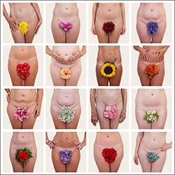 The Flower Project-Shannon Cotterill-finalist-FINE ART-Collage -2817