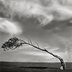 Human Nature-Lori Cicchini-finalist-FINE ART-Nudes -2892