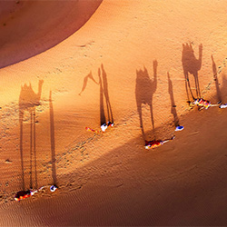 Desert Dream-Joshua Karthik R-finalist-NATURE-Aerial -2903