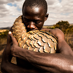 The Pangolin Men-Adrian Steirn-bronze-FINE ART-Portrait -2542