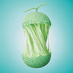 Pure Fruit Gum -Melon-Joe Lam-bronze-RETOUCHER-RETOUCHER-2552