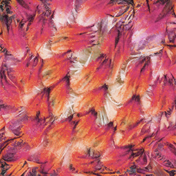 Fani-Sabrina Rouse-finalist-FINE ART-Abstract -2953