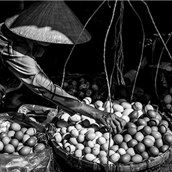 The Egg Man-Kent Schaffer-finalist-EDITORIAL-Travel-2977
