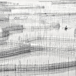 Tidal farming-Marsel Van Oosten-silver-FINE ART-Other -3129